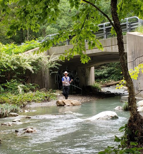 Fishing in Onota Brook in Pittsfield