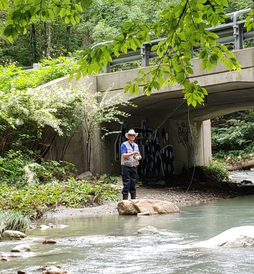 Onota Brook, Pittsfield