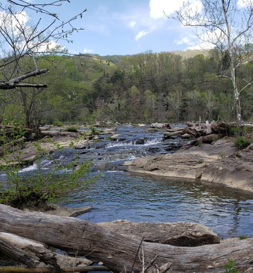 Sandstone Falls Park in West Virginia