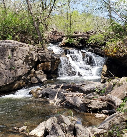 Lovely stream in WV