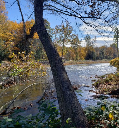 Housatonic River, Lee, MA